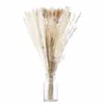 Bouquet de roseaux des marais séchés blanc