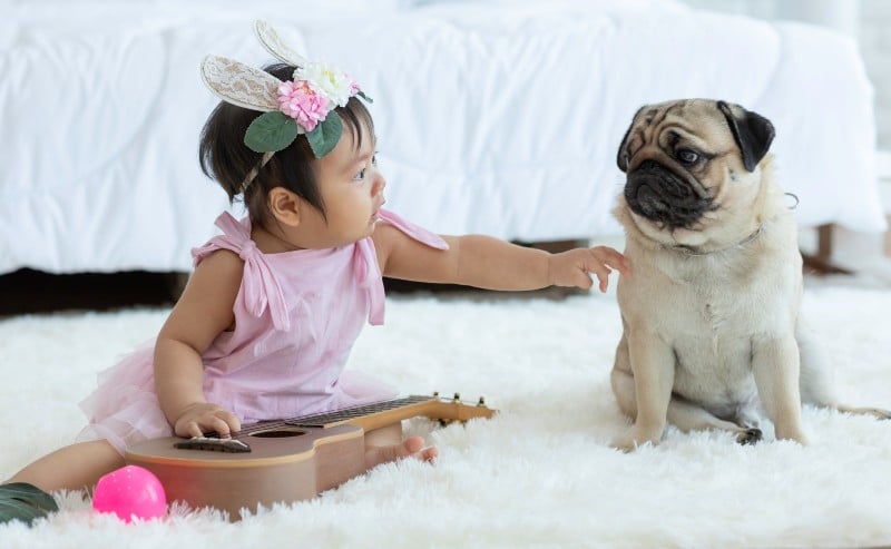 adorable petit fille vêtue d'une robe robe, assise sur su tapis blance, qui joue avec un chien