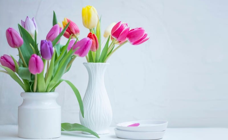 jolis bouquets de tulipes avec un vase blanc